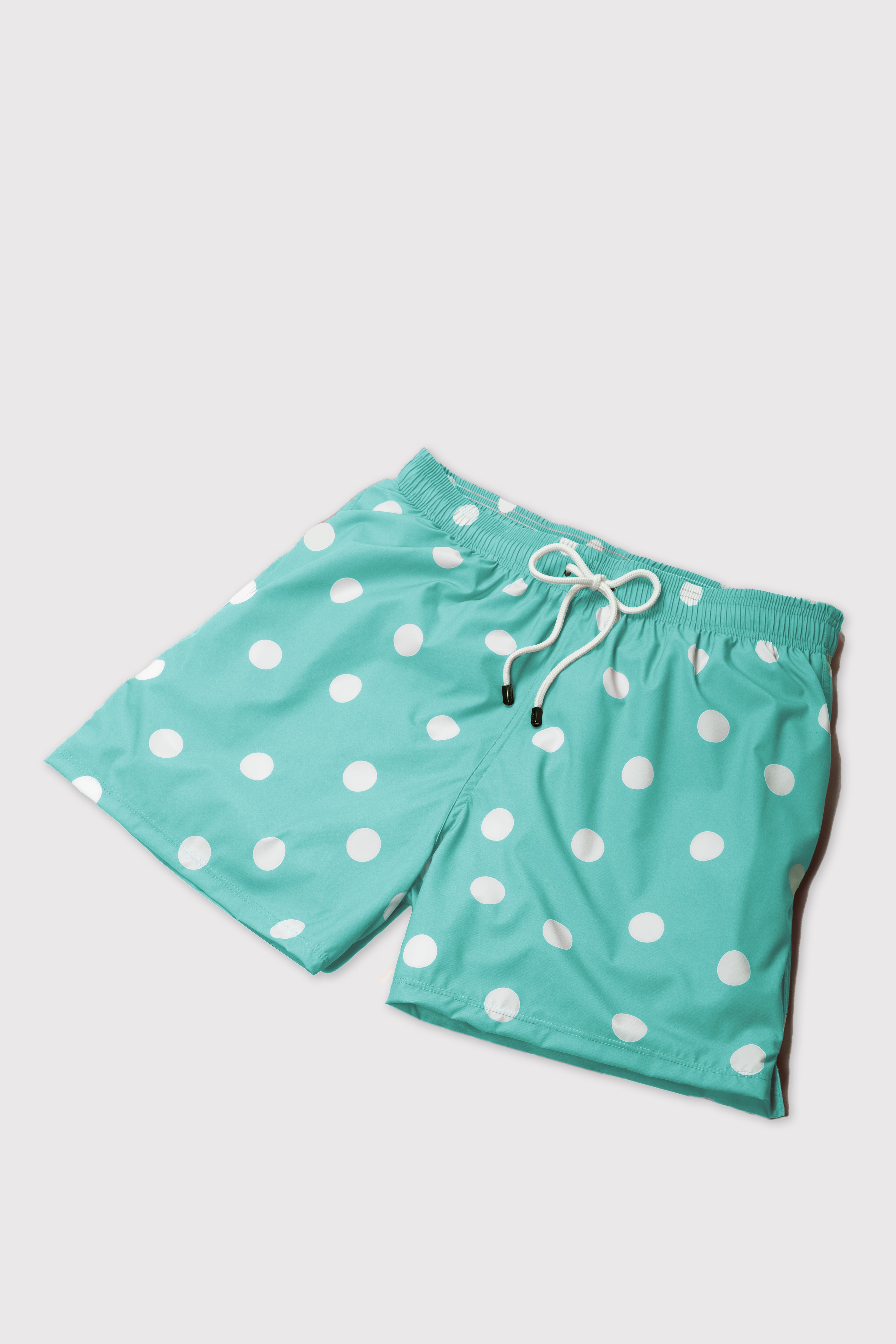 Big Sur Aqua Swim Shorts